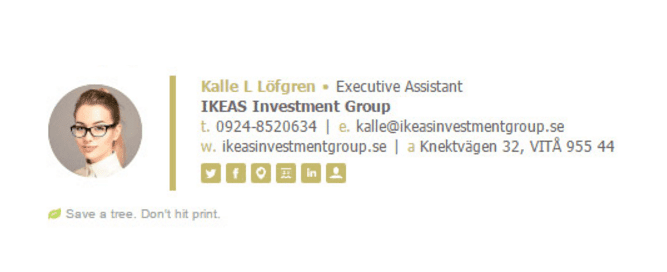Ikeas Investment Email Signature
