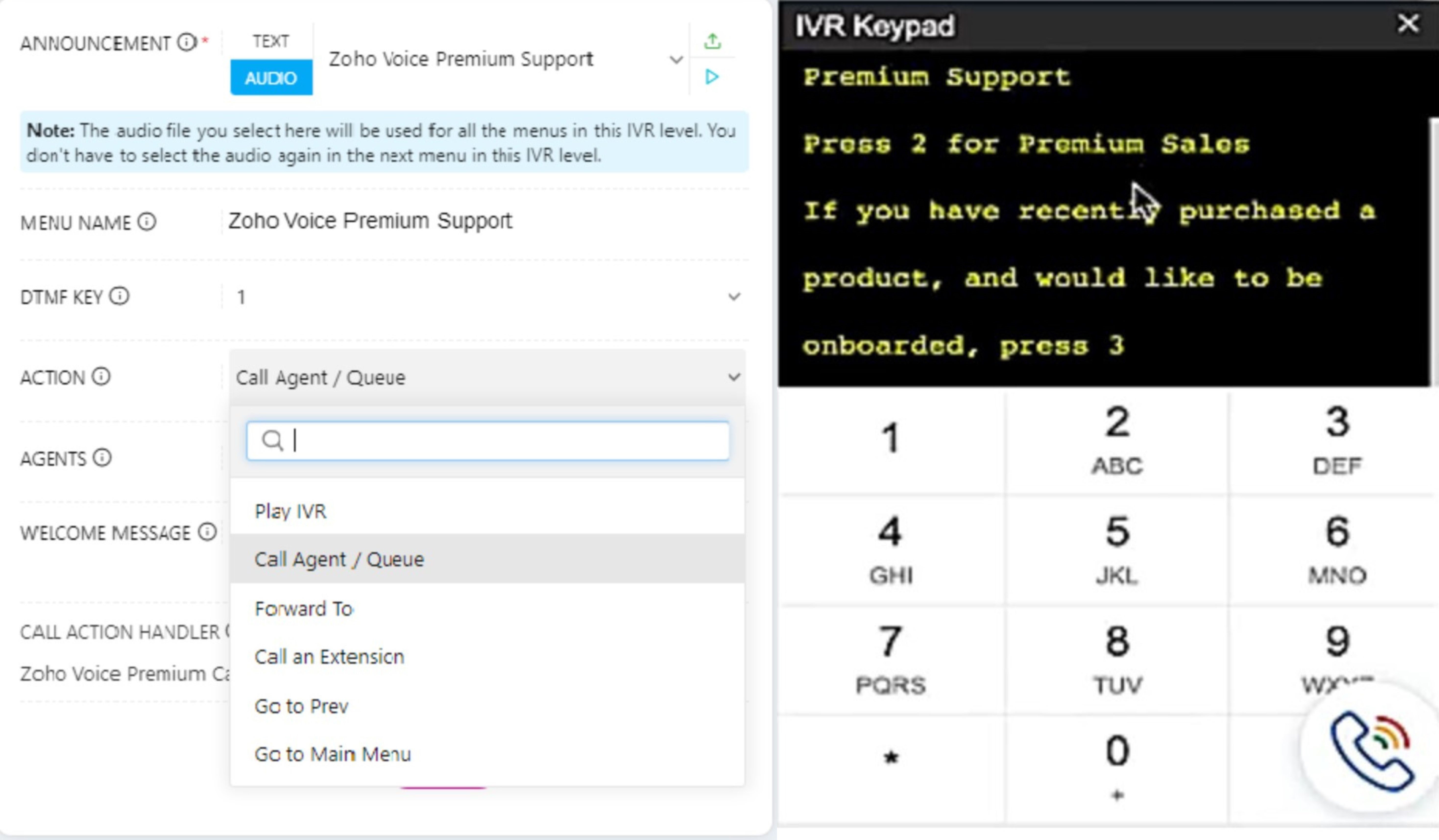 IVR Options and Preview