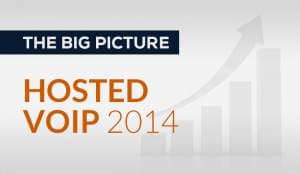 The Big Picture of The Hosted VoIP Market in 2014