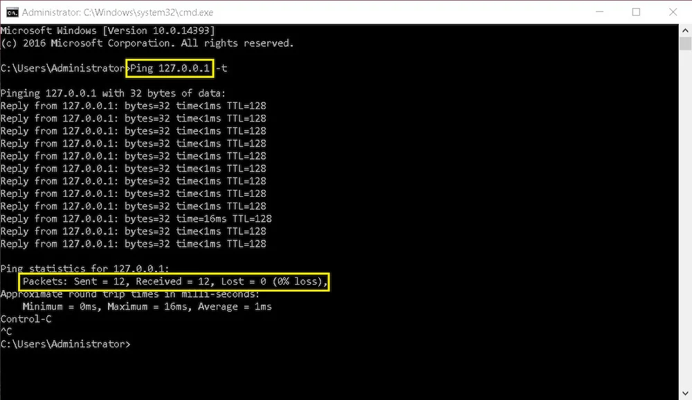 Packet Loss Windows Check